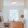 SLE201352-01 Светильник потолочный Белый, Светлое дерево/Белый LED 1*40W 3000K/4000K/6000K DELIA