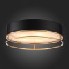 SL1127.432.05 Светильник потолочный ST-Luce Черный, Матовое золото/Белый E27 5*40W CHODO