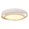 SLE6009-502-01 Светильник потолочный Белый/Белый LED 1*50W 3000K/4000K/6000K CROSBY